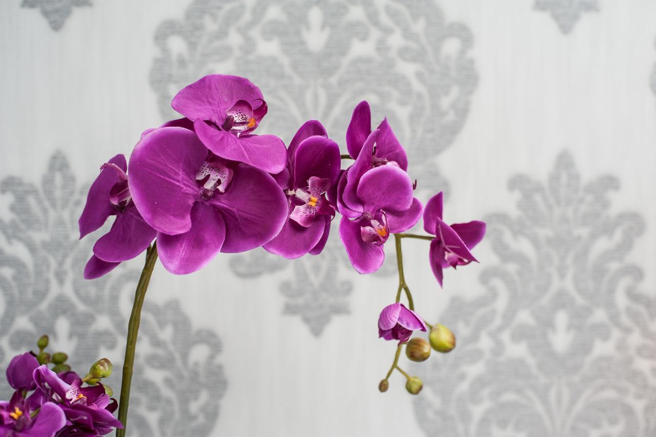 Lawendowy Zdroj Medycyna I Spa บุสโก-สดรูย ภายนอก รูปภาพ